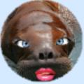 Cliquer pour lire le texte